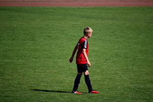 中国足球俱乐部青训营技术指导持续加强，中国足球青训机构